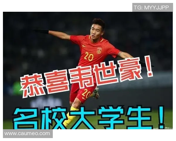 金元足球时代的巨星沉浮与辉煌背后中国职业联赛的故事